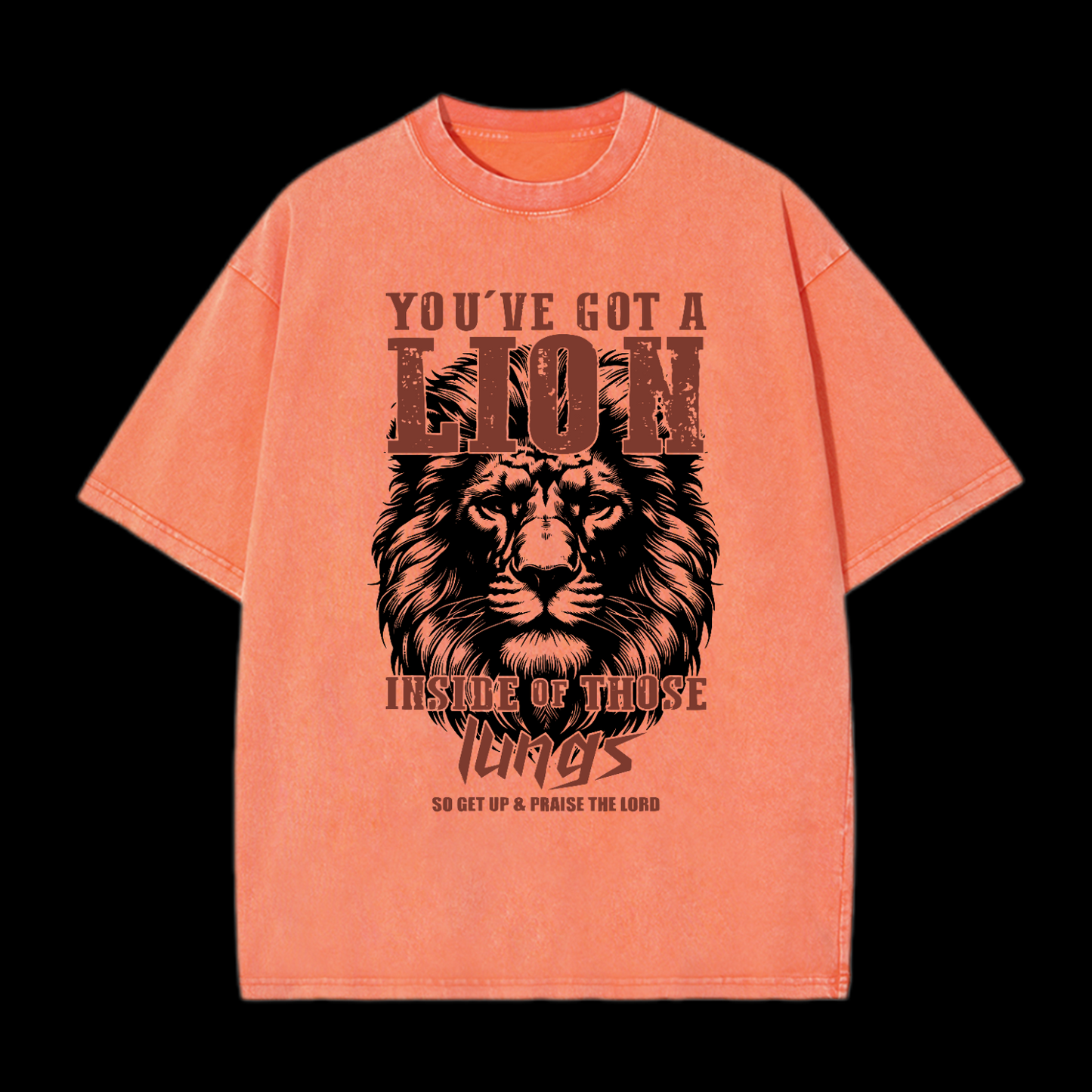 You've Got A Lion Washed T-Shirt