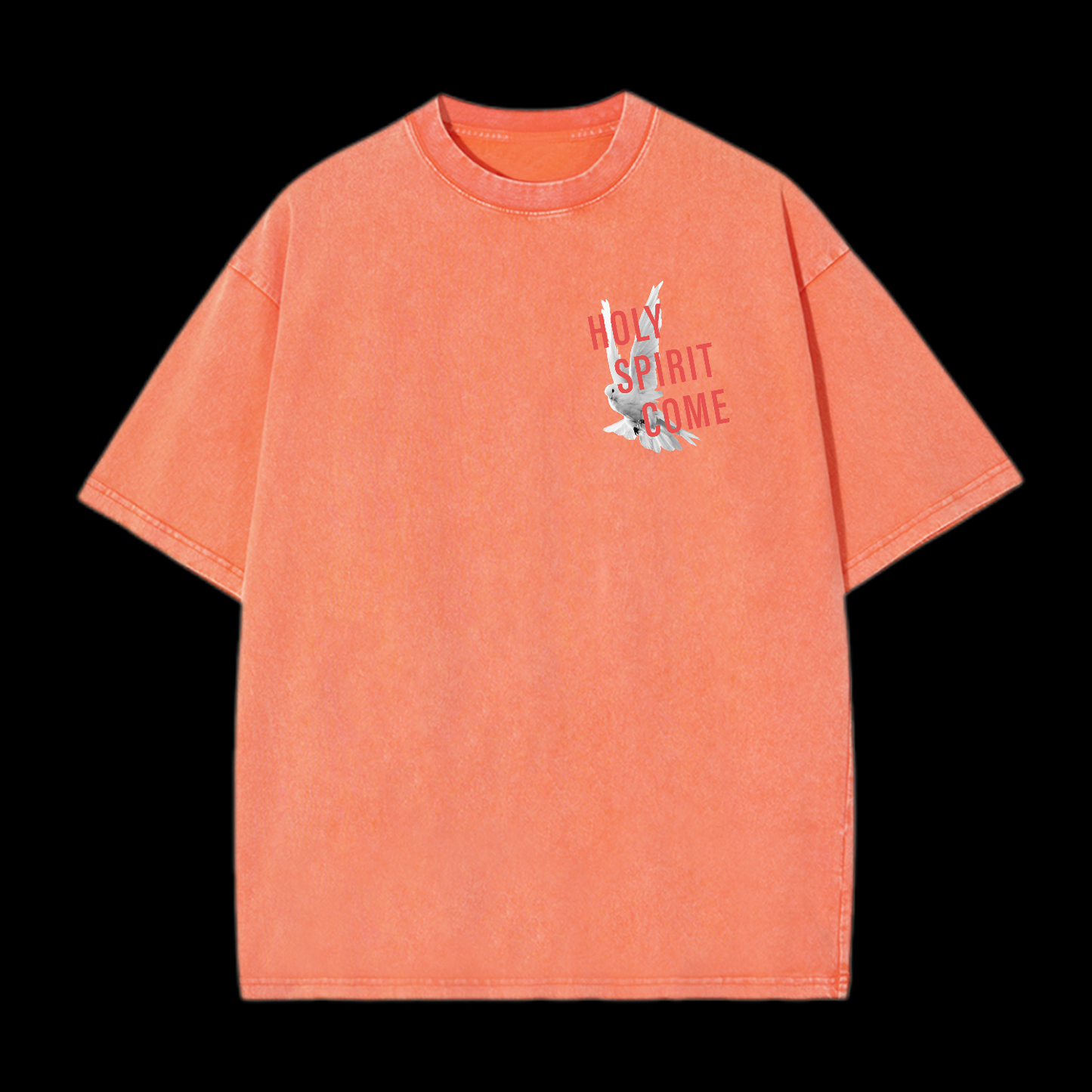 Holy Spirit Come Washed T-Shirt