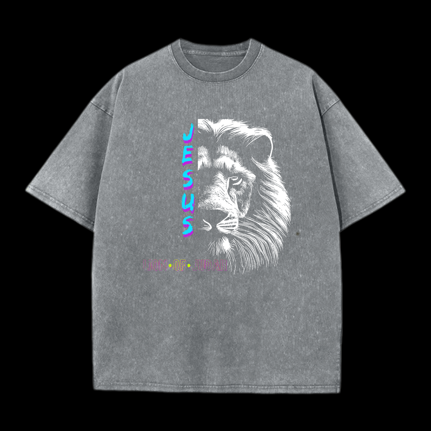 Jesus Lion Of Judan Washed T-Shirt
