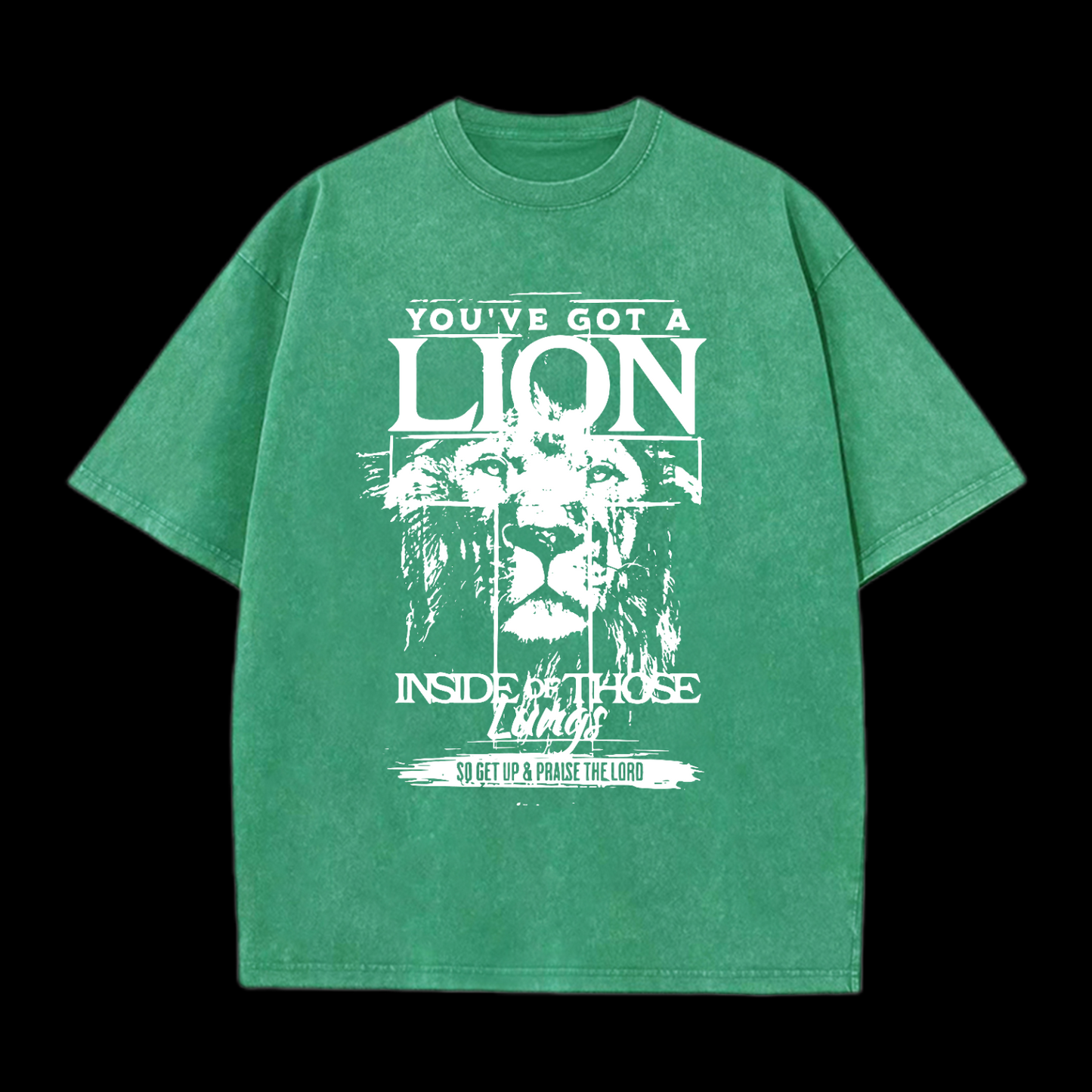 You've Got A Lion Inside Of Those Lungs Washed T-Shirt