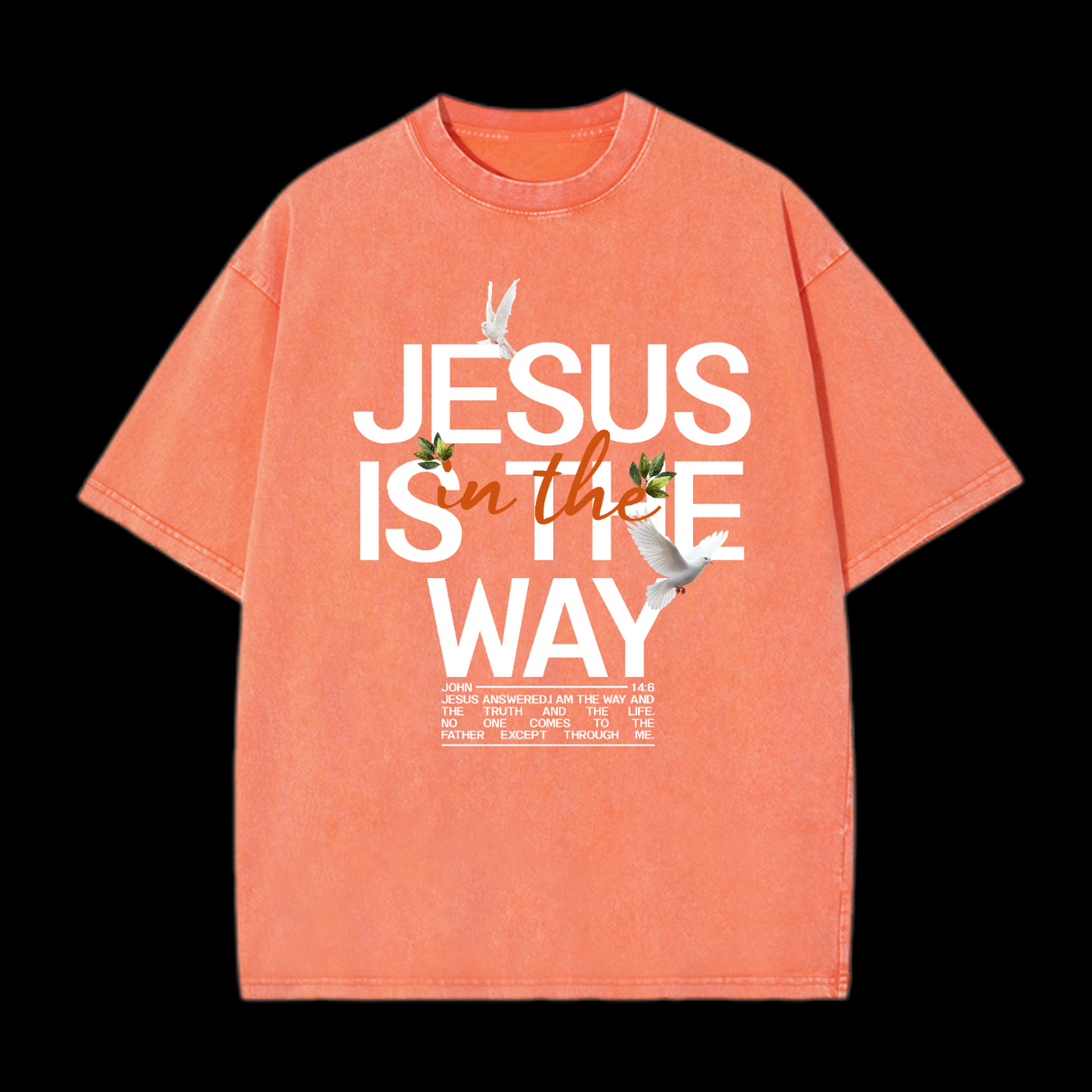 Jesus Is In The Way Washed T-Shirt
