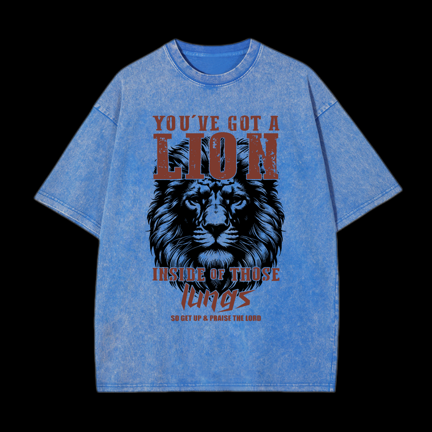 You've Got A Lion Washed T-Shirt