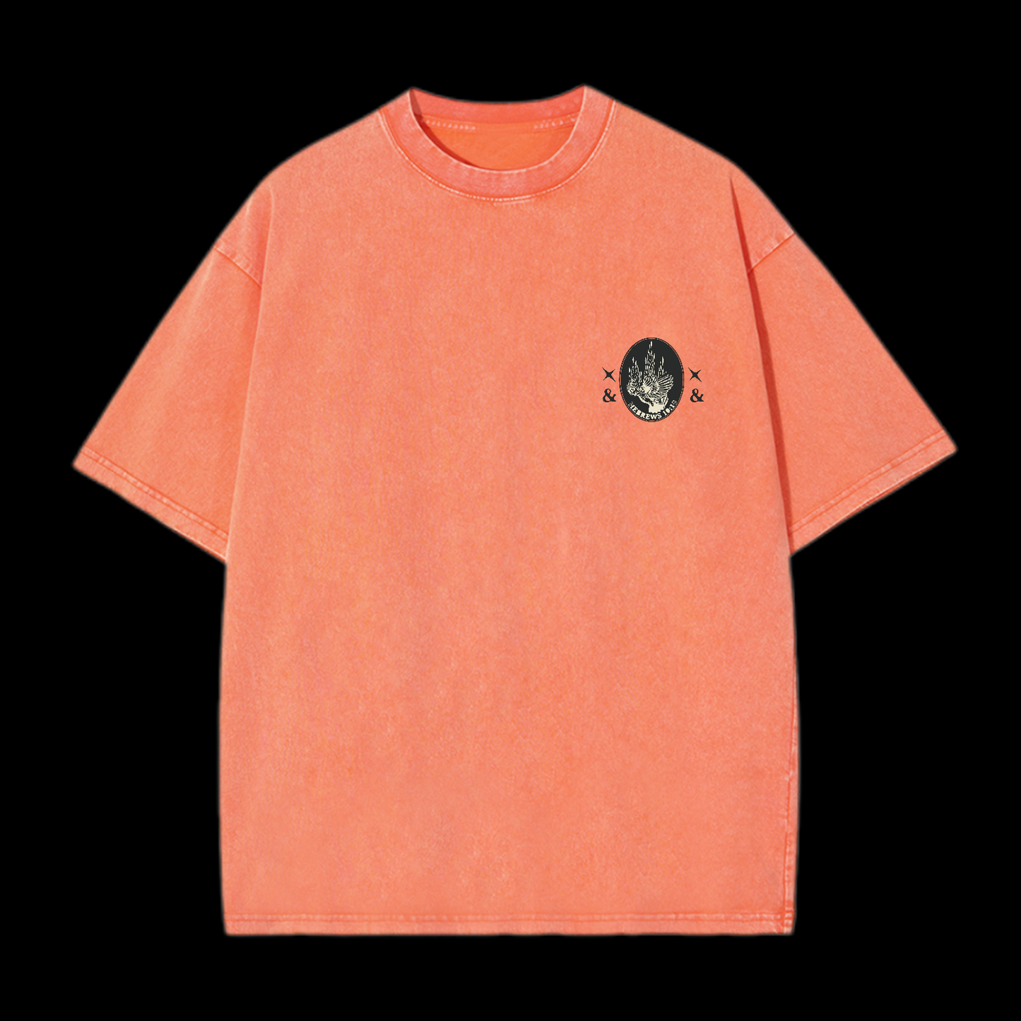 Purified For All Washed T-Shirt