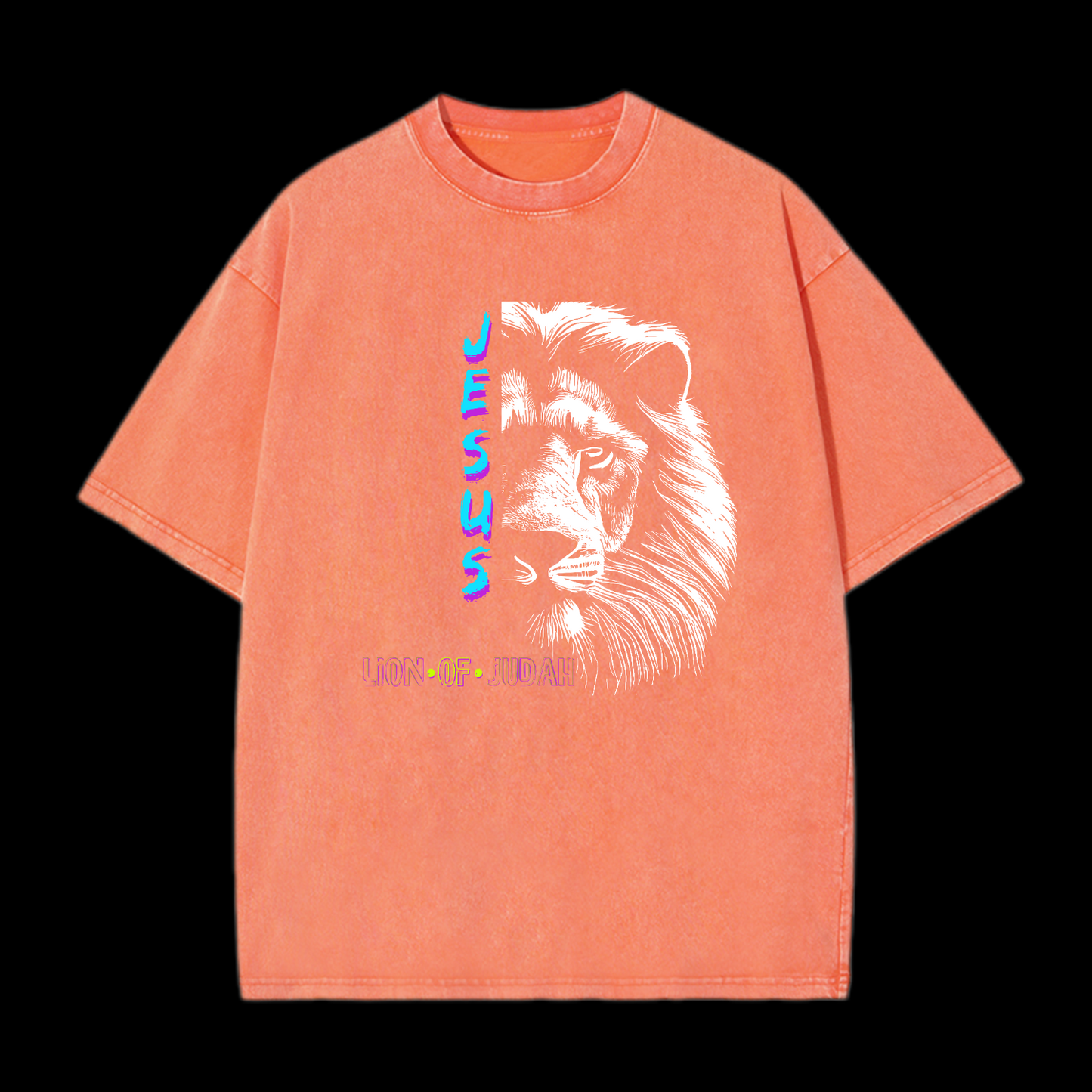 Jesus Lion Of Judan Washed T-Shirt