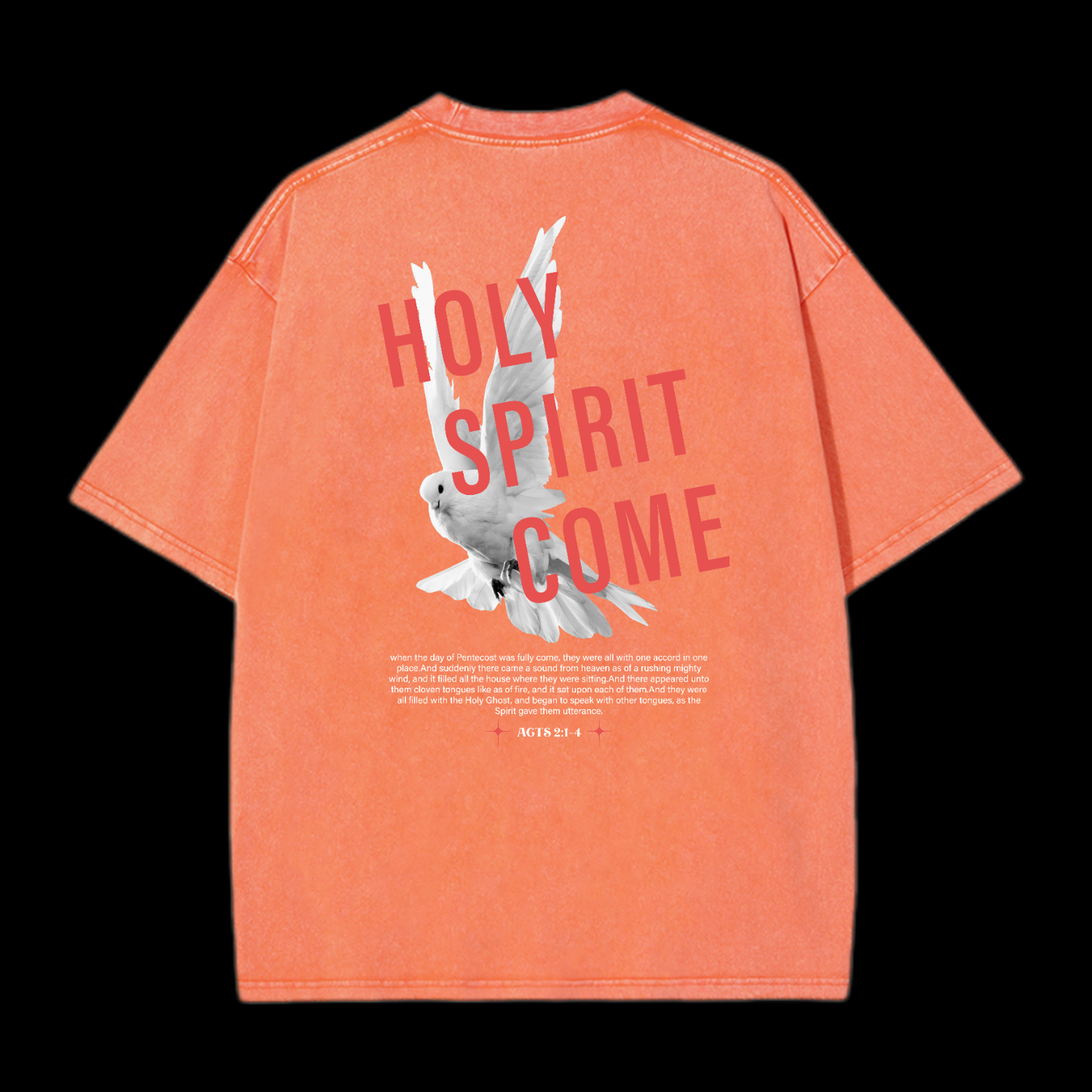Holy Spirit Come Washed T-Shirt