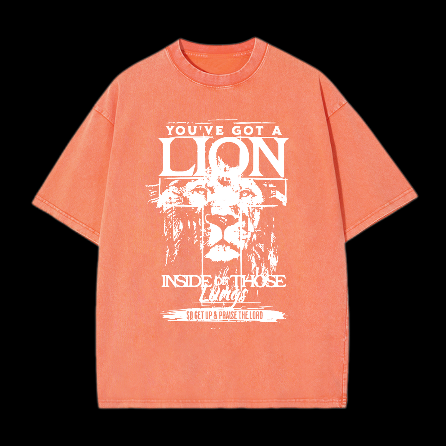 You've Got A Lion Inside Of Those Lungs Washed T-Shirt