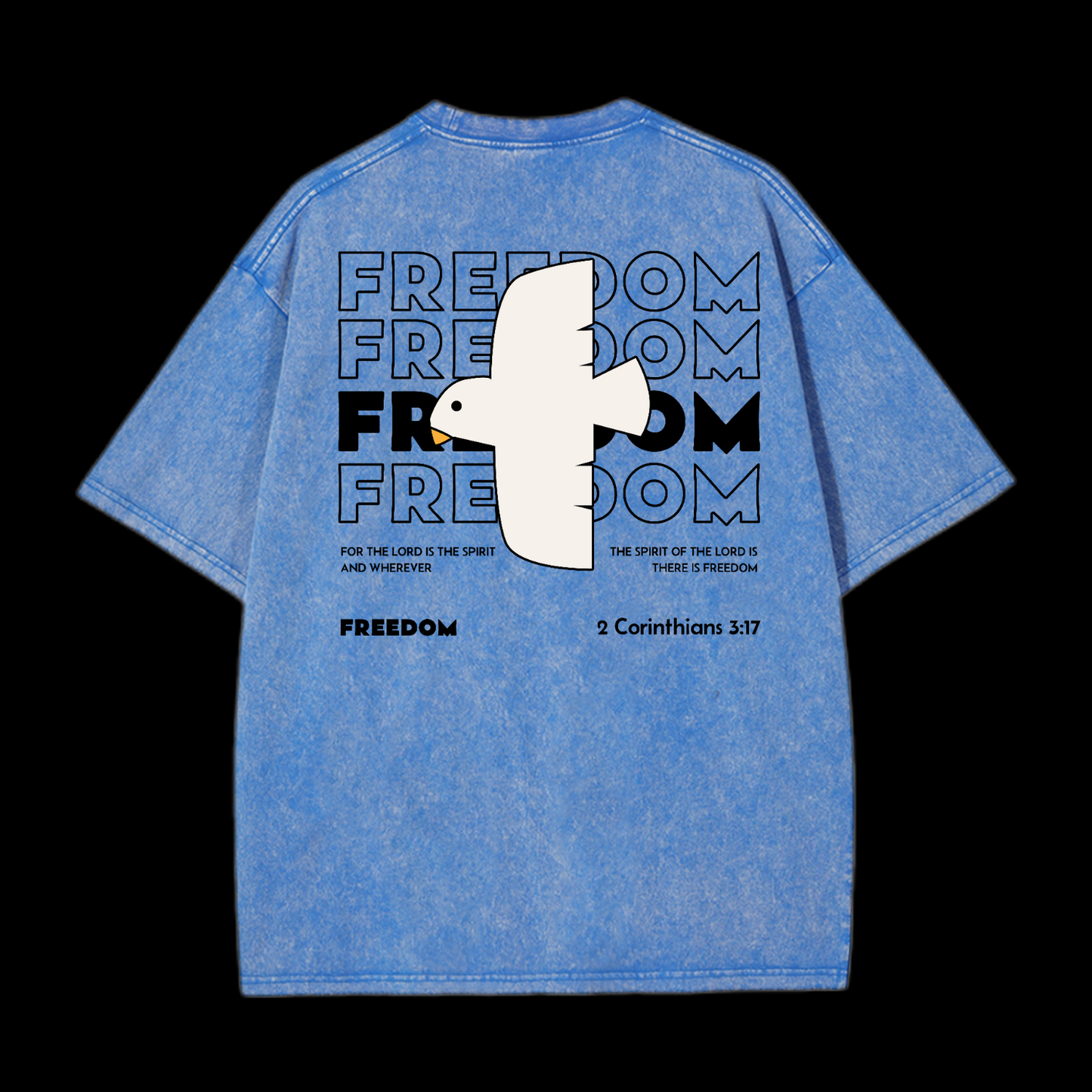 Freedom Washed T-Shirt