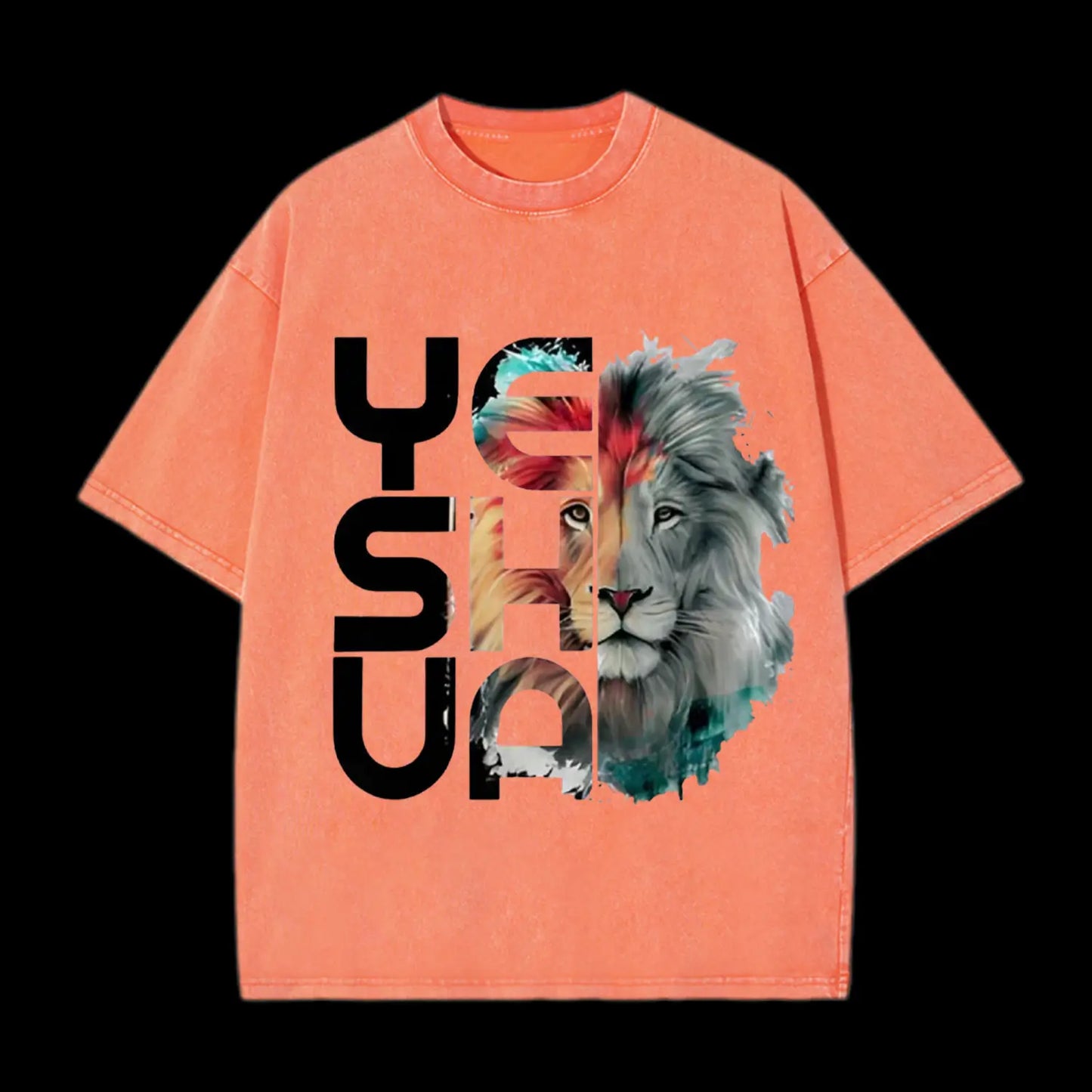 LION AND YESHUA TEE