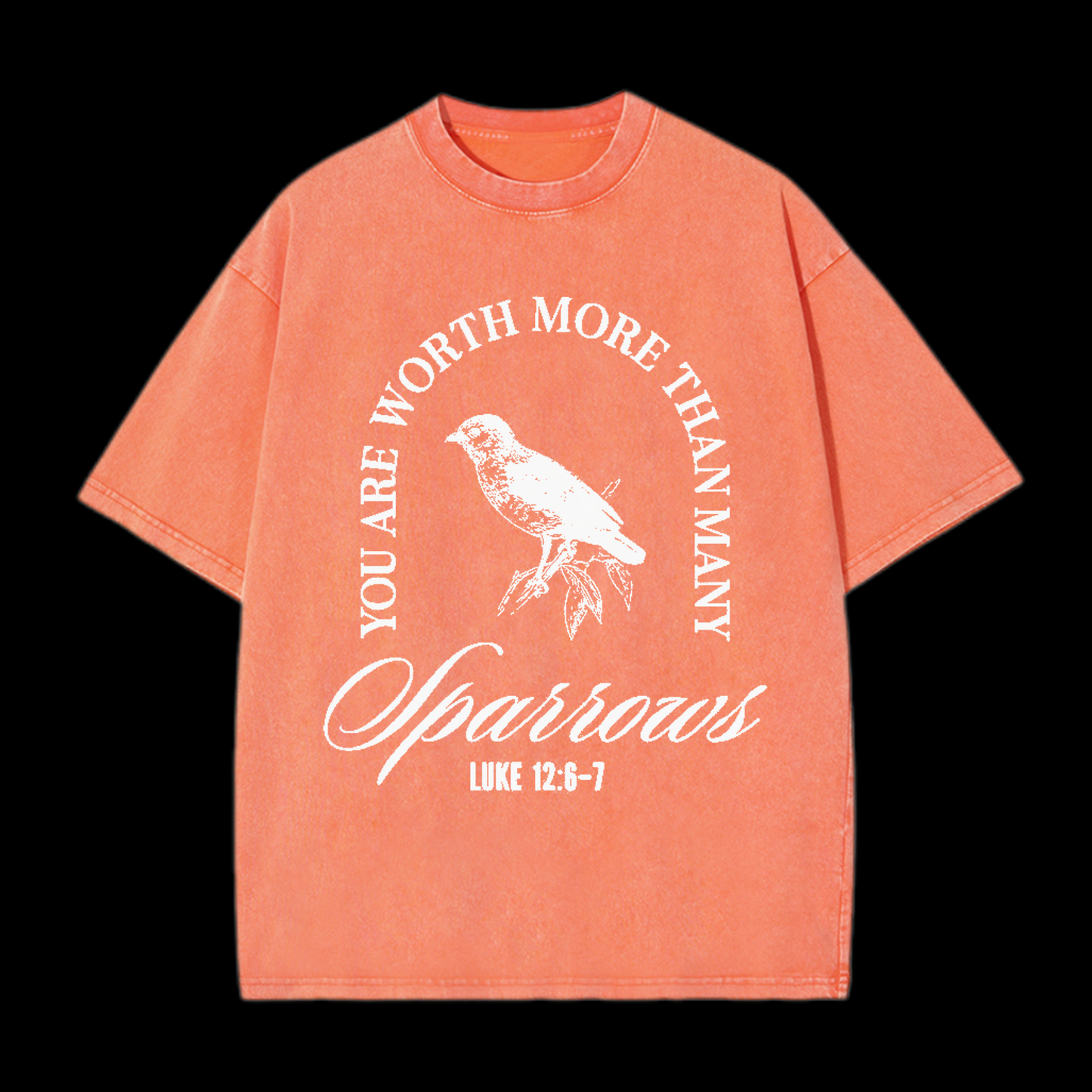 You Are Worth More Than Many Christian tee