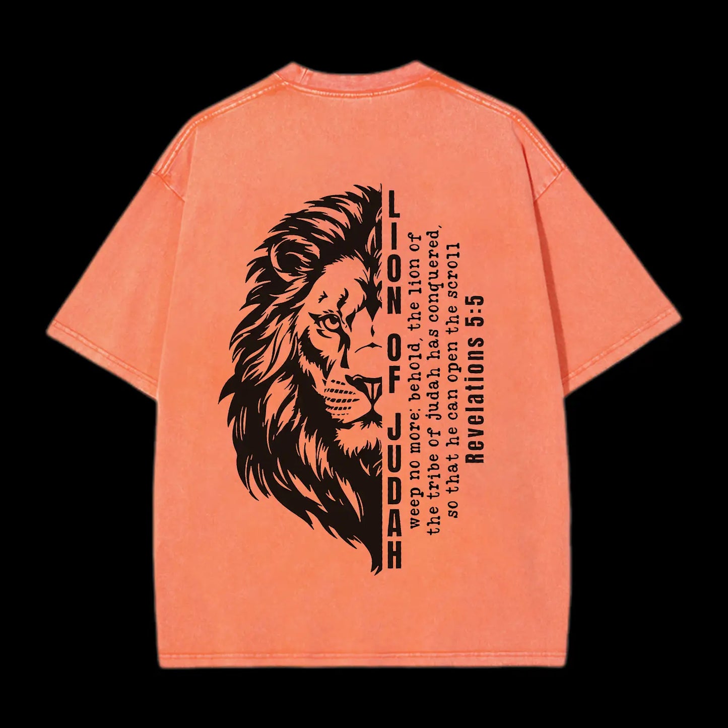 Lion Of Judah Washed T-Shirt