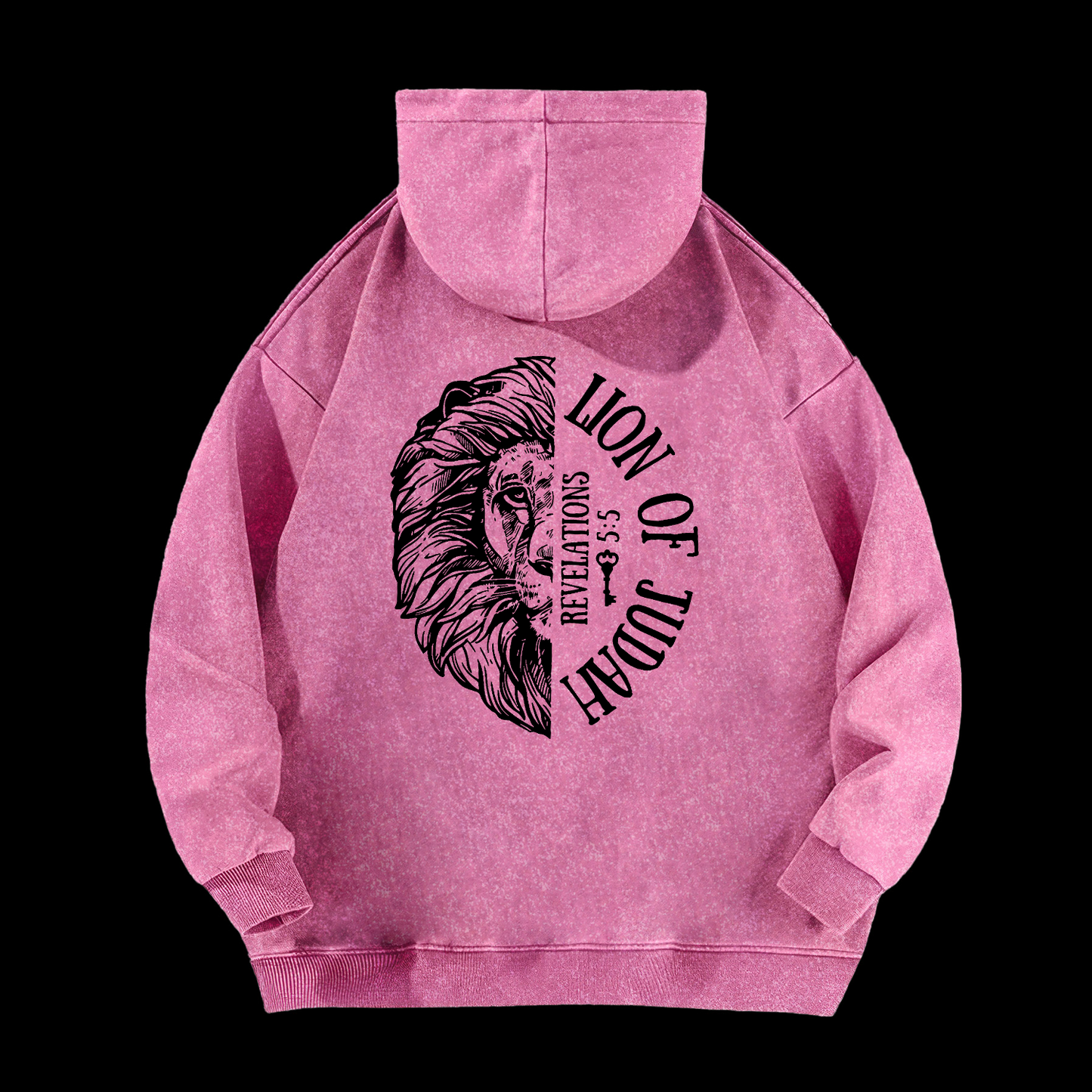 Lion Of Judah Washed Hoodie