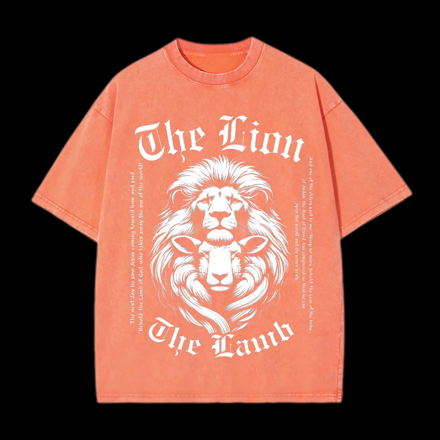 THE LION THE LAMB CHRISTIAN WASHED T-SHIRT