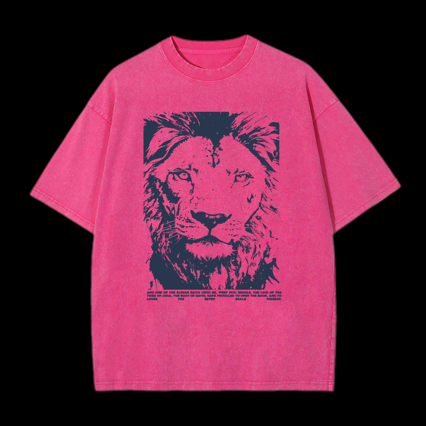 Revelation 5:5 Washed T-Shirt