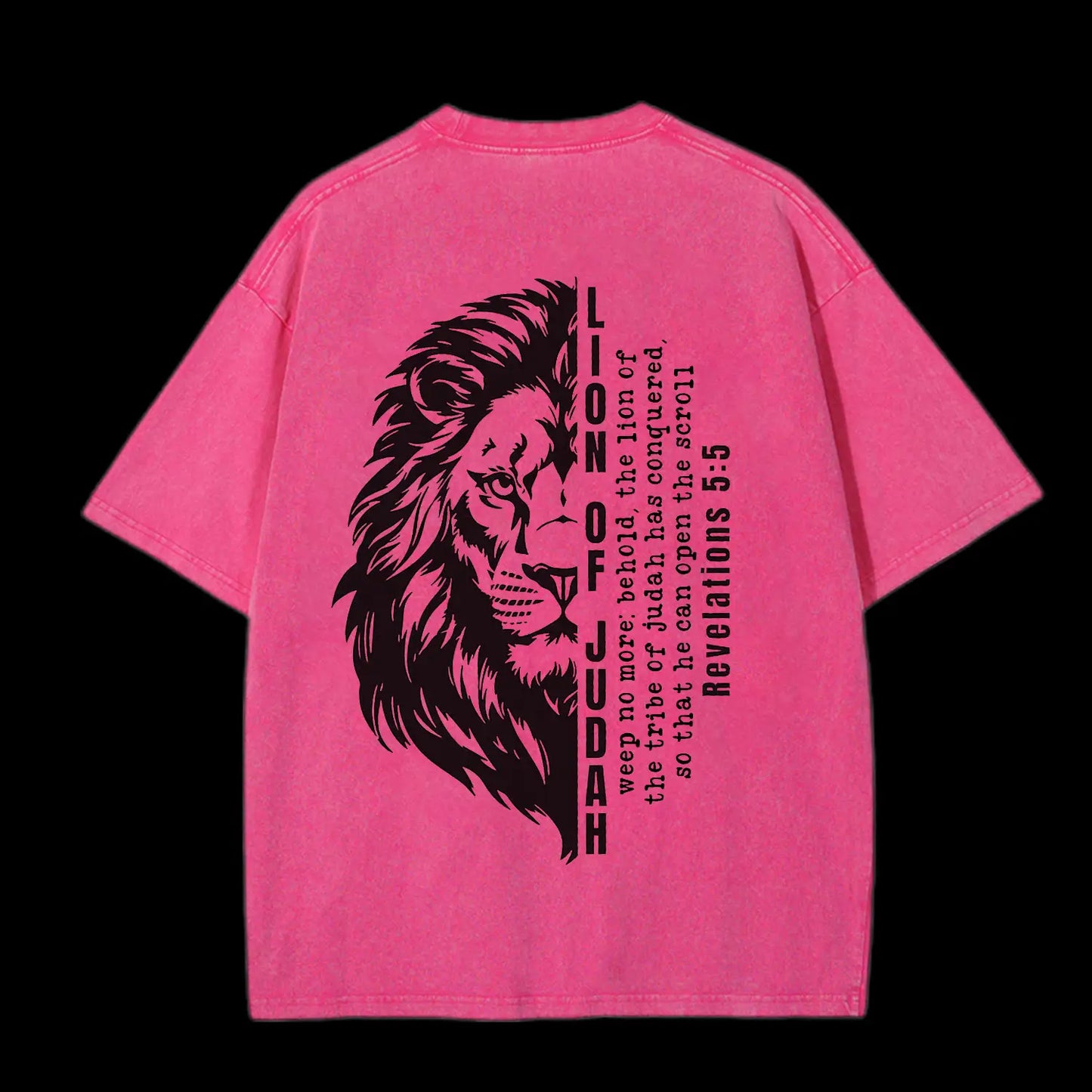 Lion Of Judah Washed T-Shirt