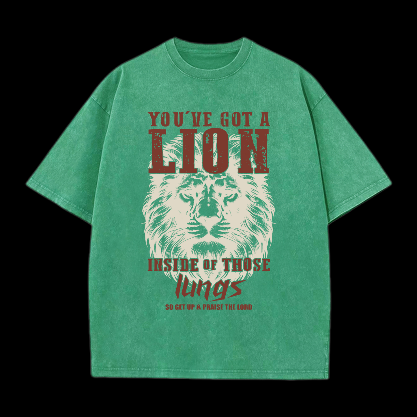 You've Got A Lion Washed T-Shirt