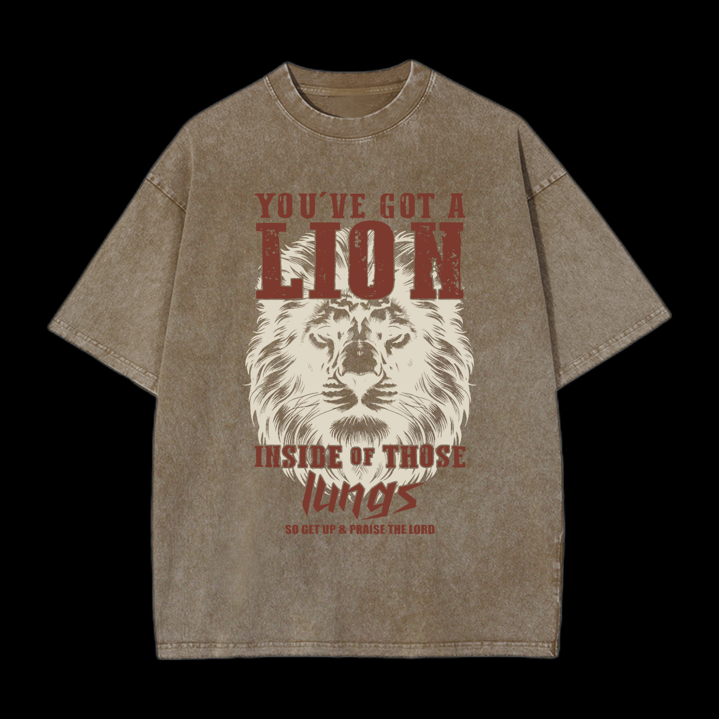 You've Got A Lion Washed T-Shirt