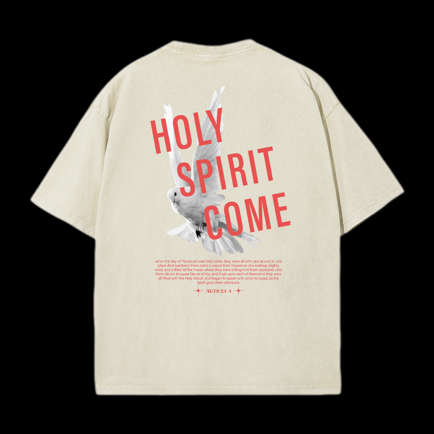 Holy Spirit Come Washed T-Shirt