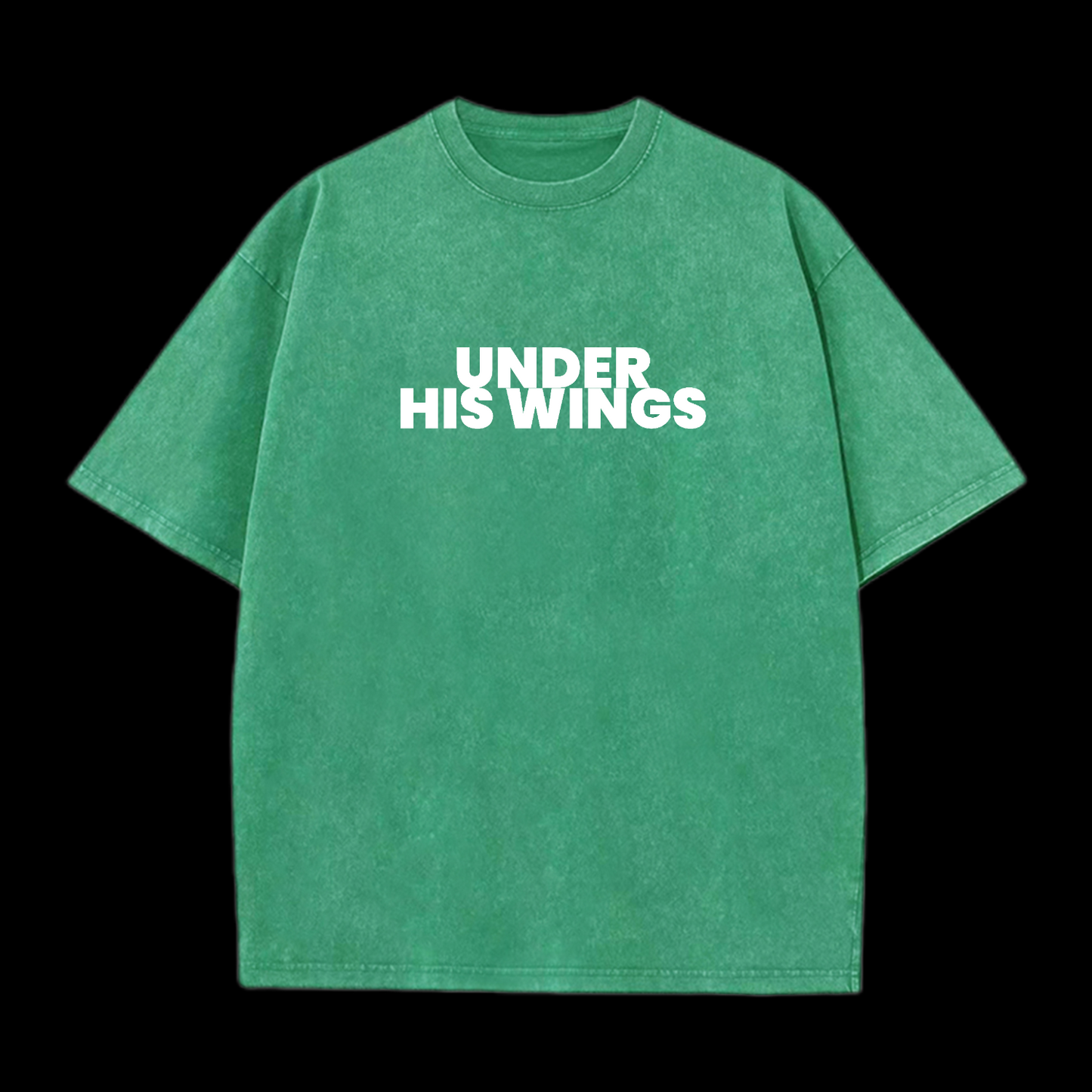 Under His Wings Washed T-Shirt