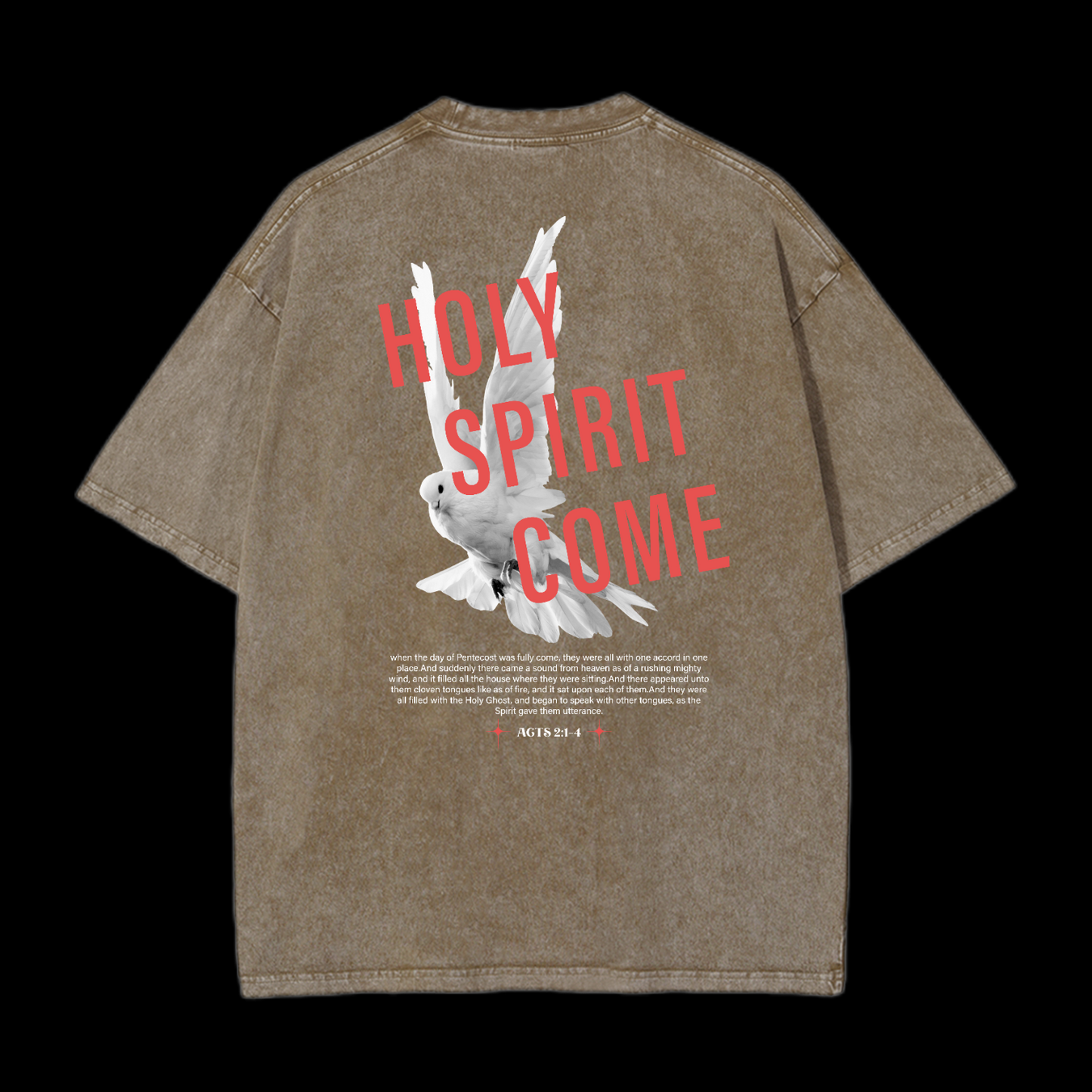 Holy Spirit Come Washed T-Shirt
