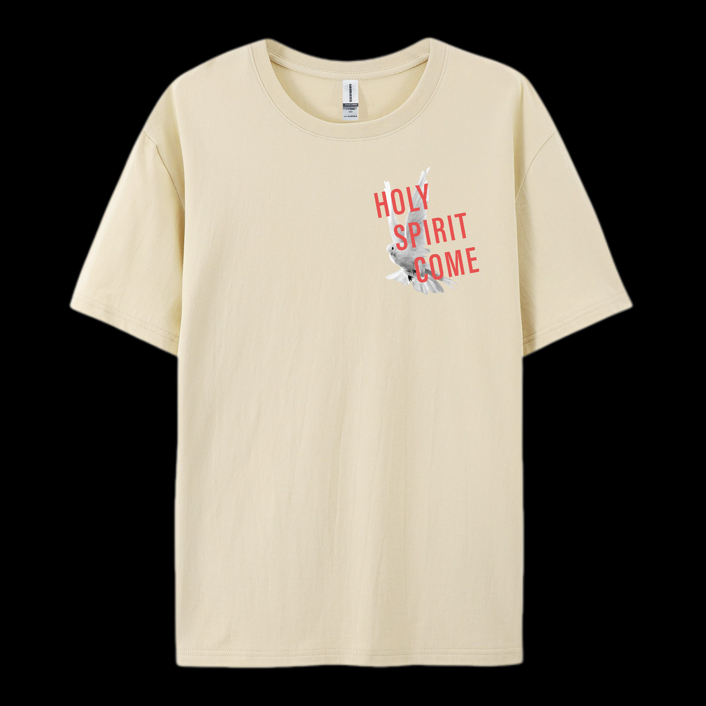 Holy Spirit Come Cotton T-Shirt