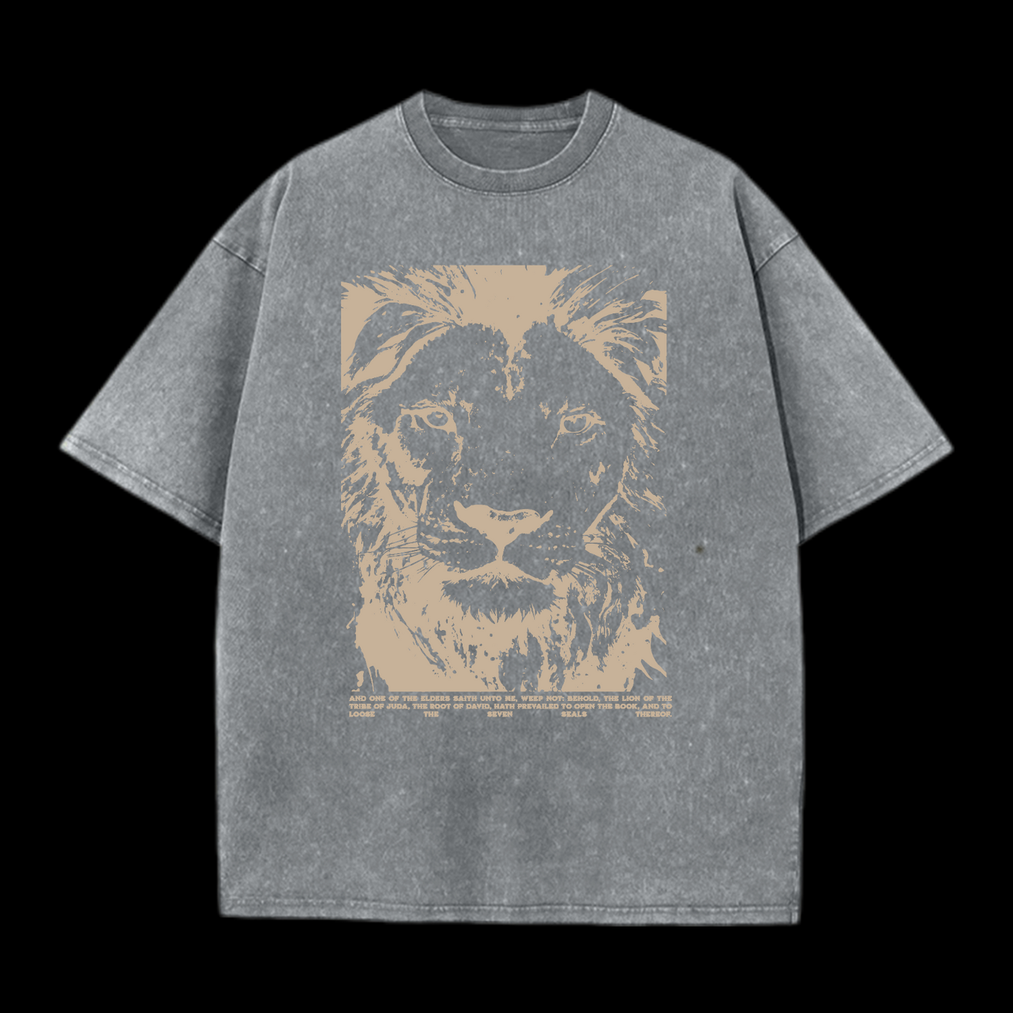 Revelation 5:5 Washed T-Shirt