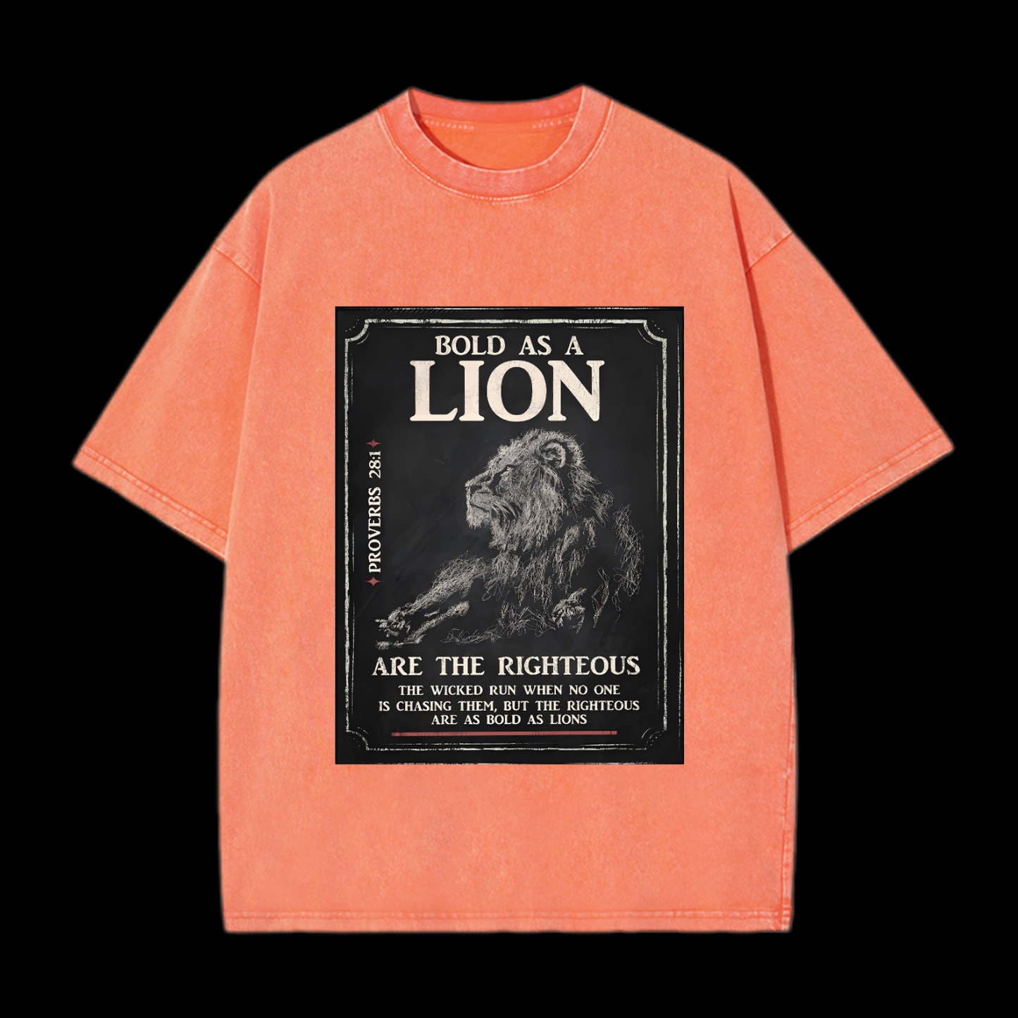 Bold As A Lion Washed T-Shirt