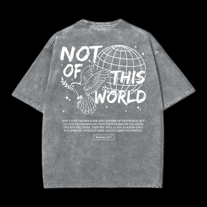 Not Of This World Washed T-Shirt