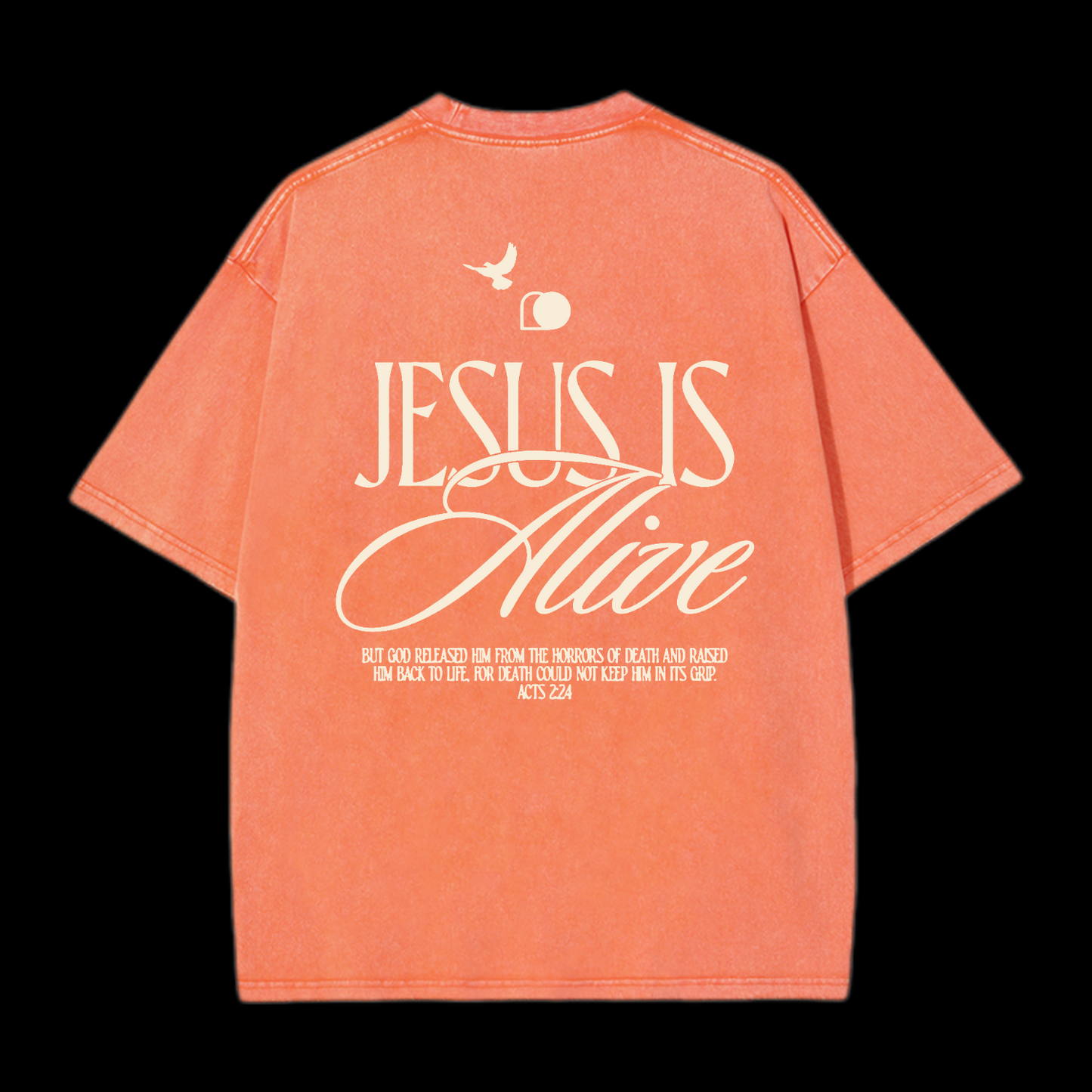 Jesus Is Alive Washed T-Shirt