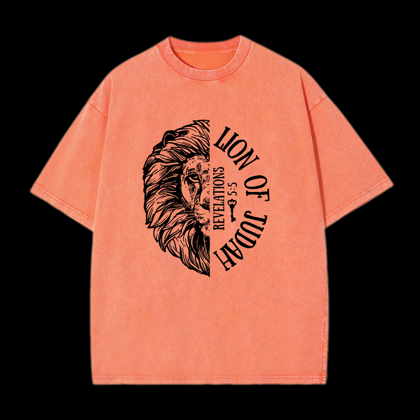 Lion Of Judah Washed T-Shirt