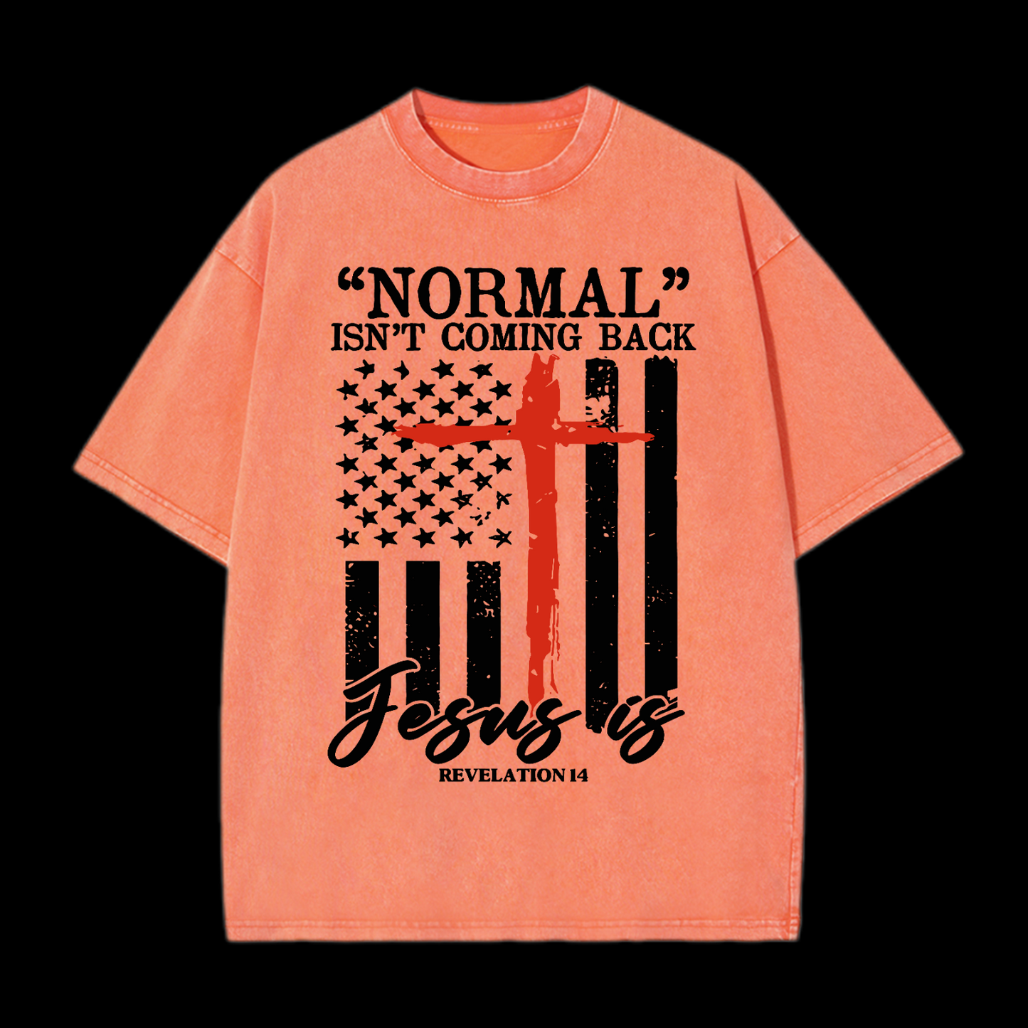 Normal Isn't Coming Back Washed T-Shirt
