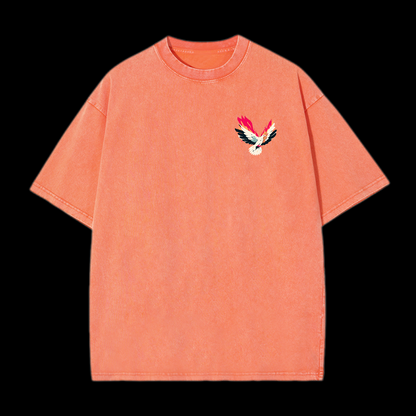 The Holy Spirit Washed T-Shirt