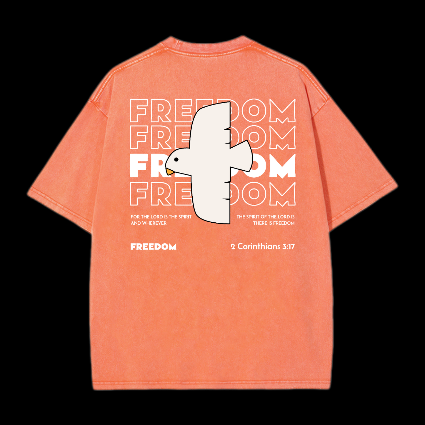 Freedom Washed T-Shirt