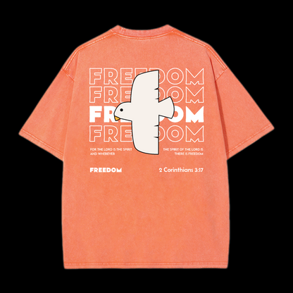 Freedom Washed T-Shirt