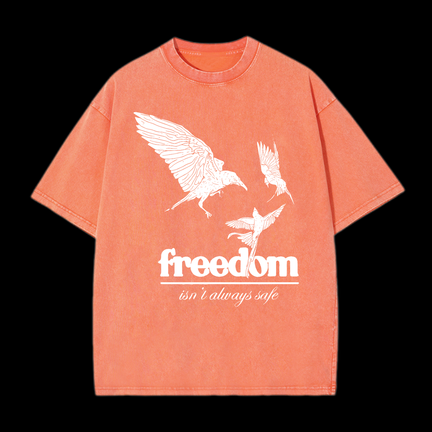 Freedom Isn't Always Safe Washed T-Shirt