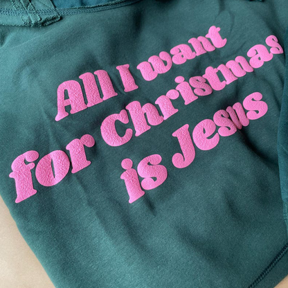 All I Want For Christmas Is Jesus Puff Print Drawstring Hoodie