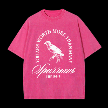 You Are Worth More Than Many Christian tee