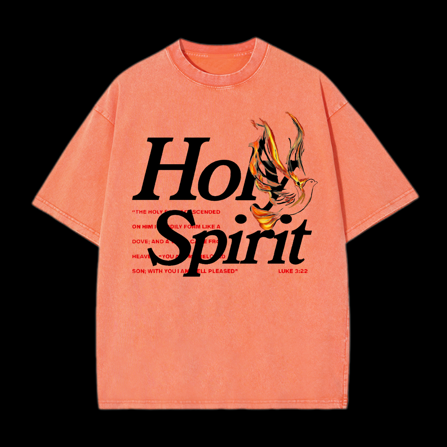 Holy Spirit Washed T-Shirt