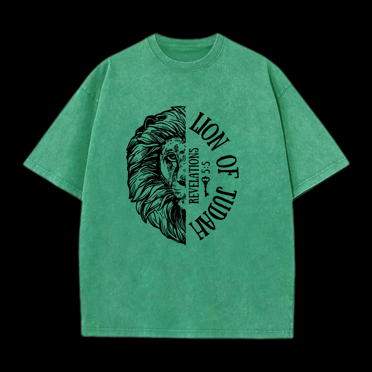 Lion Of Judah Washed T-Shirt