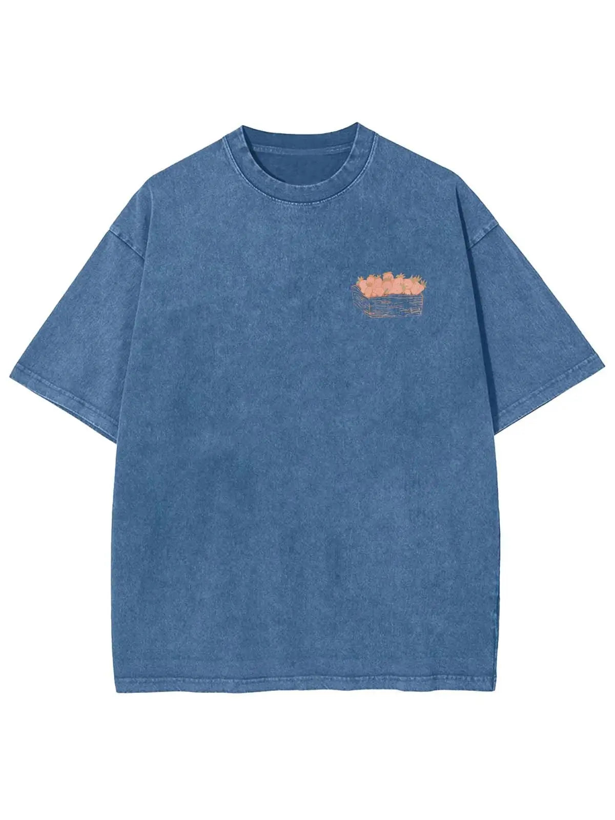 Fruit Of The Spirit Unisex Washed T-Shirt