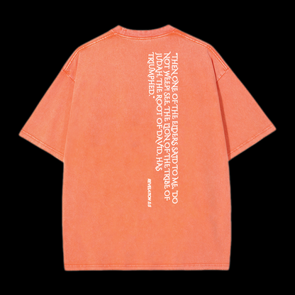 Lion Of Judan Washed T-Shirt