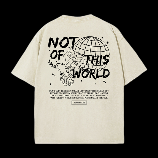 Not Of This World Washed T-Shirt