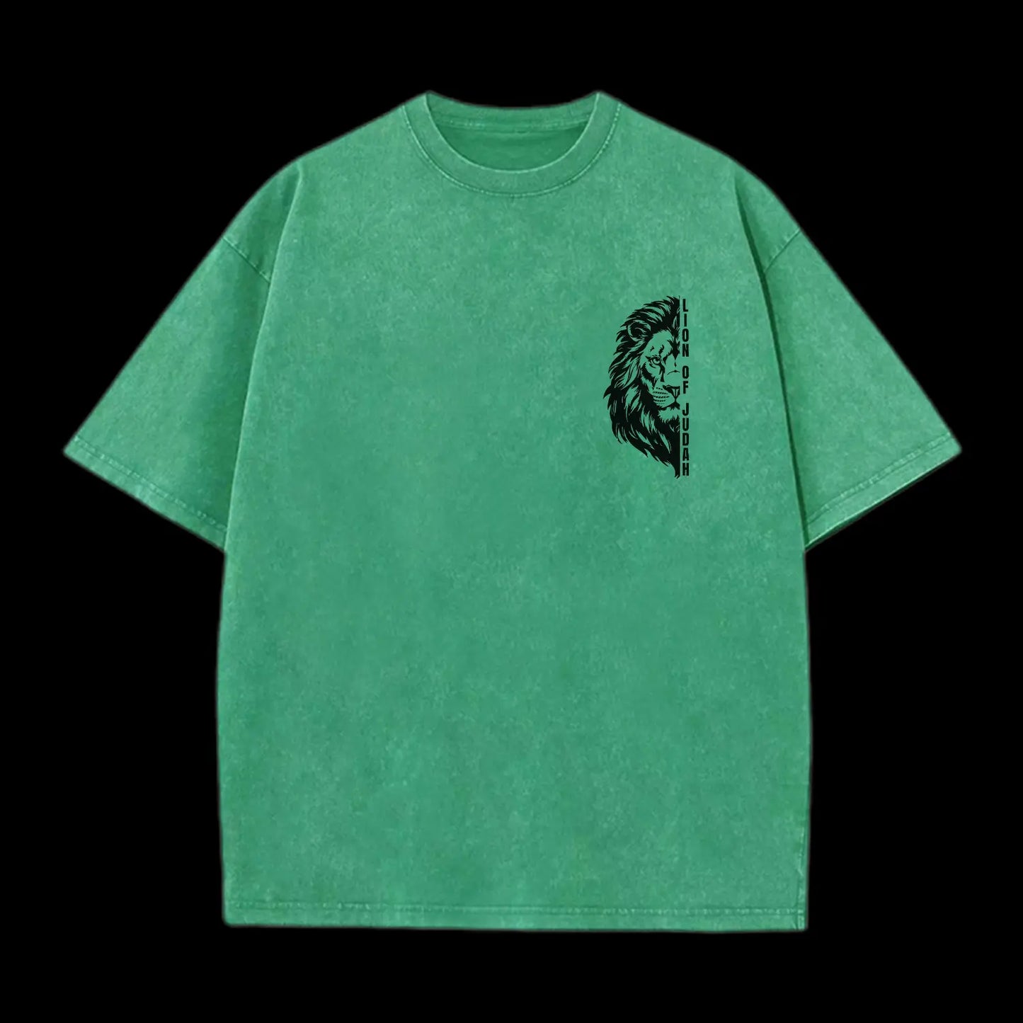 Lion Of Judah      Washed T-Shirt