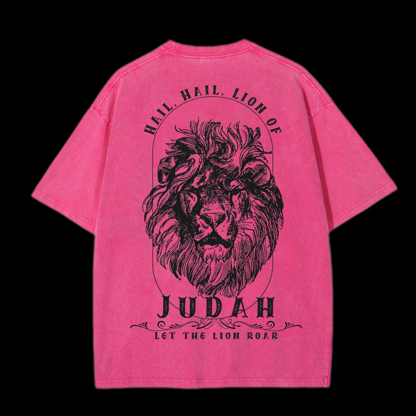 Hail.Hail.Lion Of Judan Let The Lion RoarWashed T-Shirt