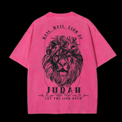 Hail.Hail.Lion Of Judan Let The Lion RoarWashed T-Shirt