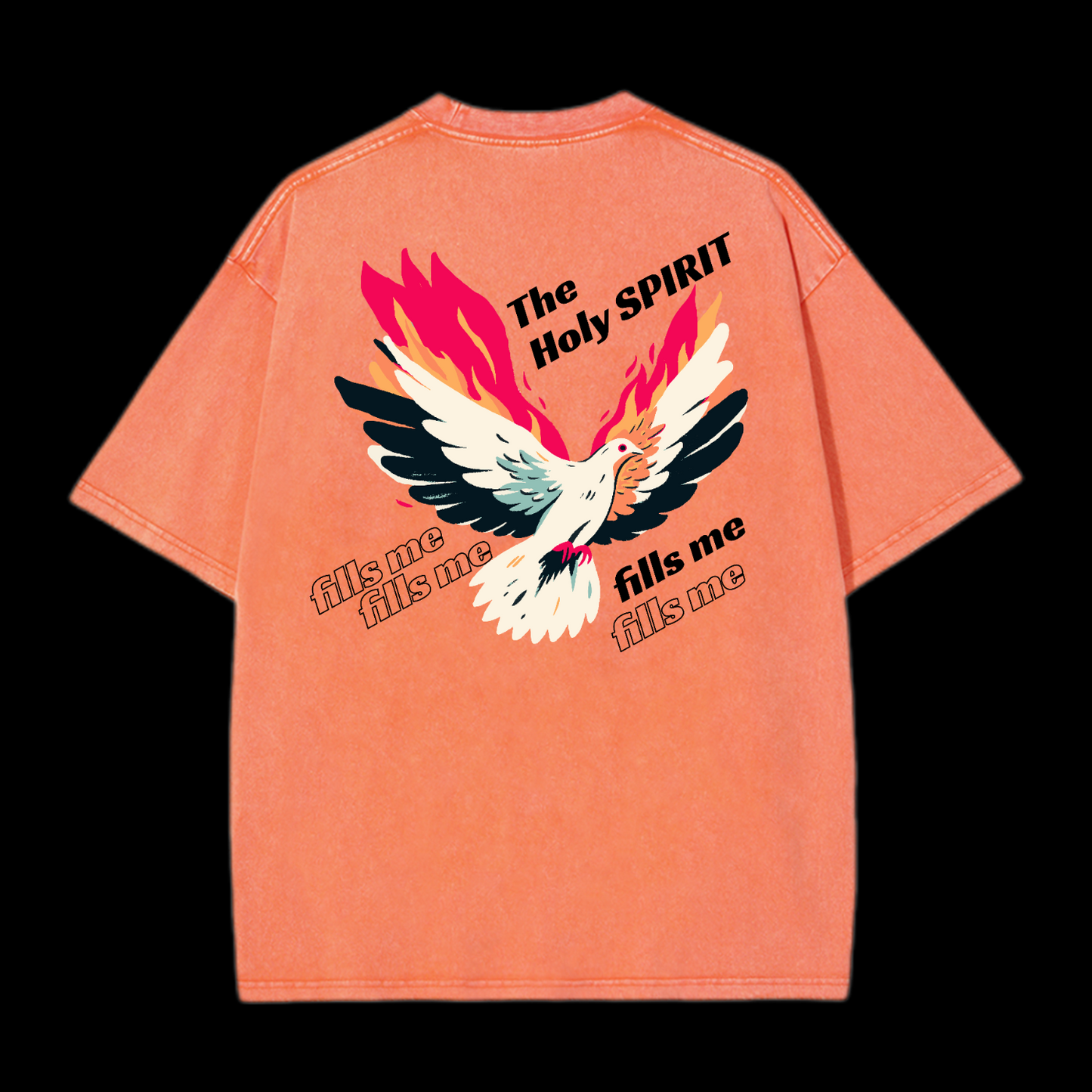 The Holy Spirit Washed T-Shirt