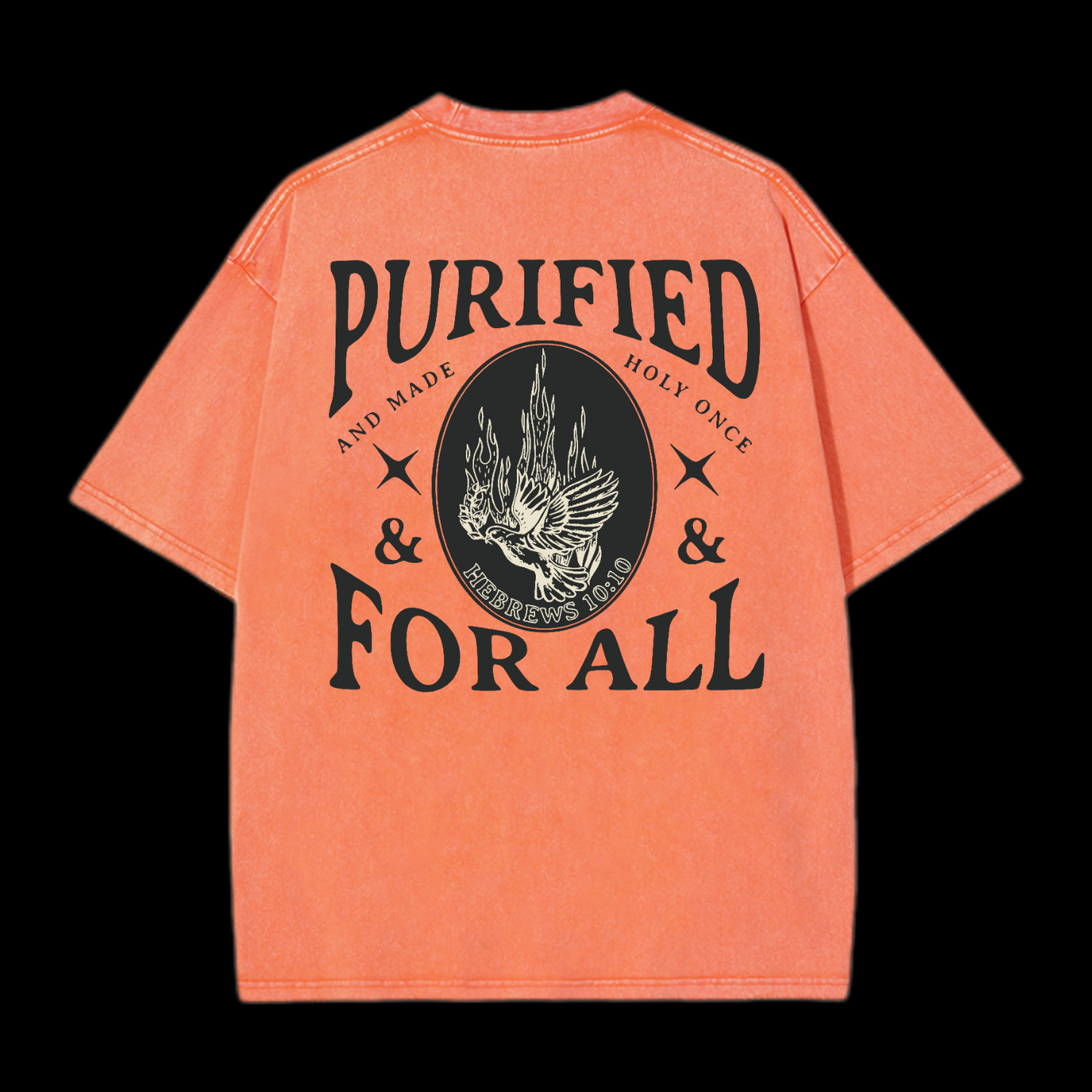 Purified For All Washed T-Shirt