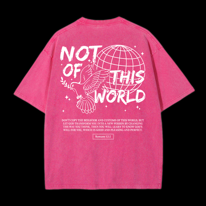 Not Of This World Washed T-Shirt