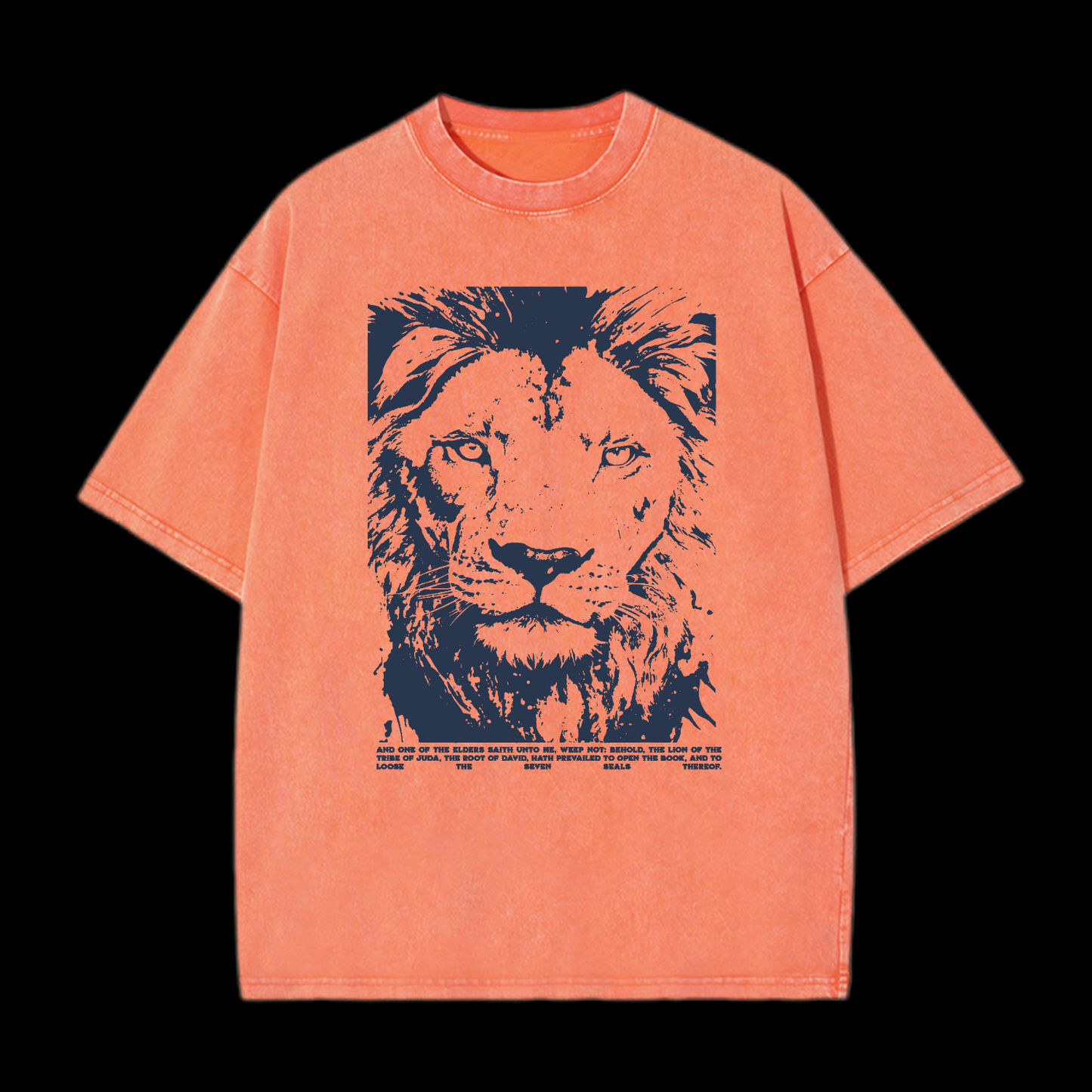 Revelation 5:5 Washed T-Shirt