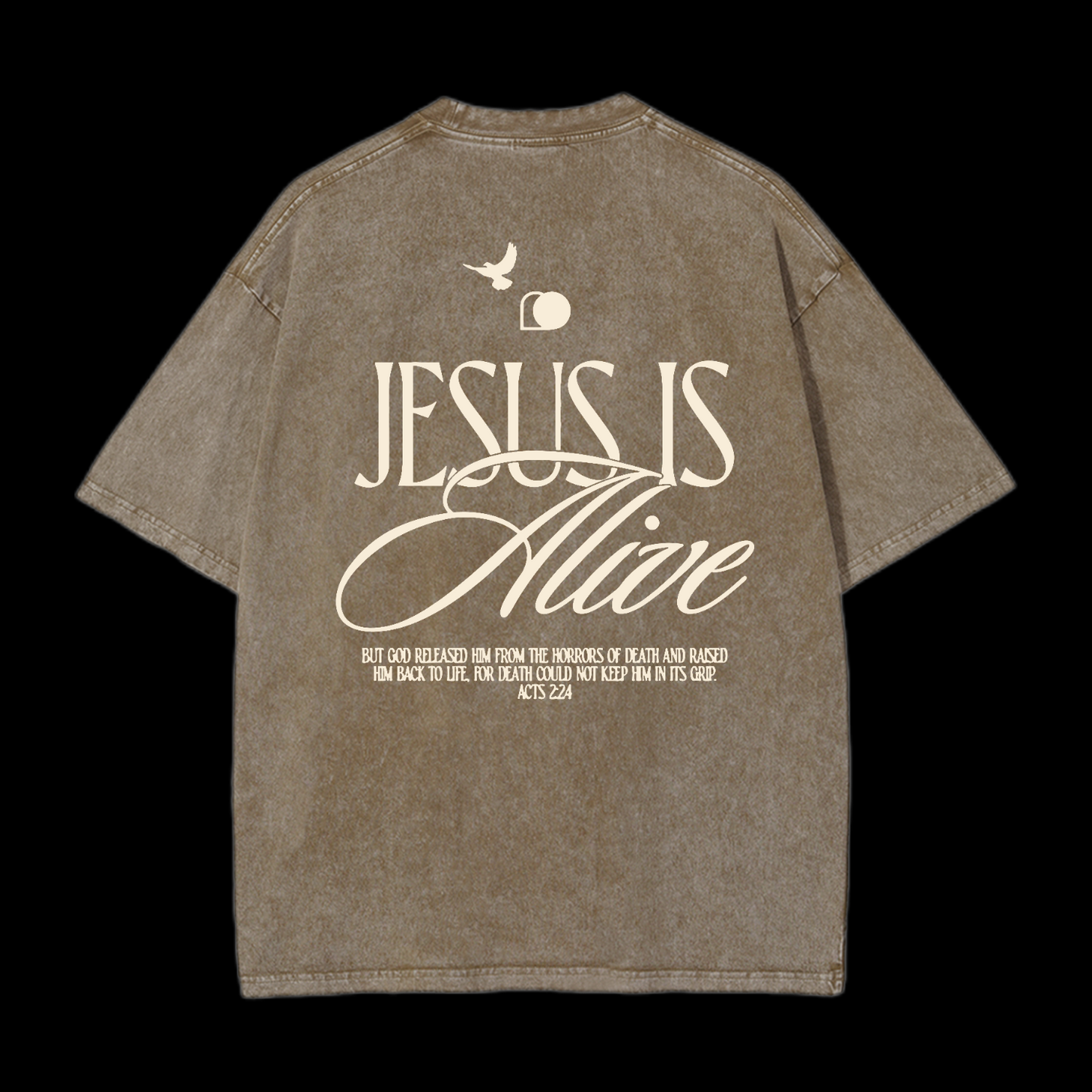 Jesus Is Alive Washed T-Shirt