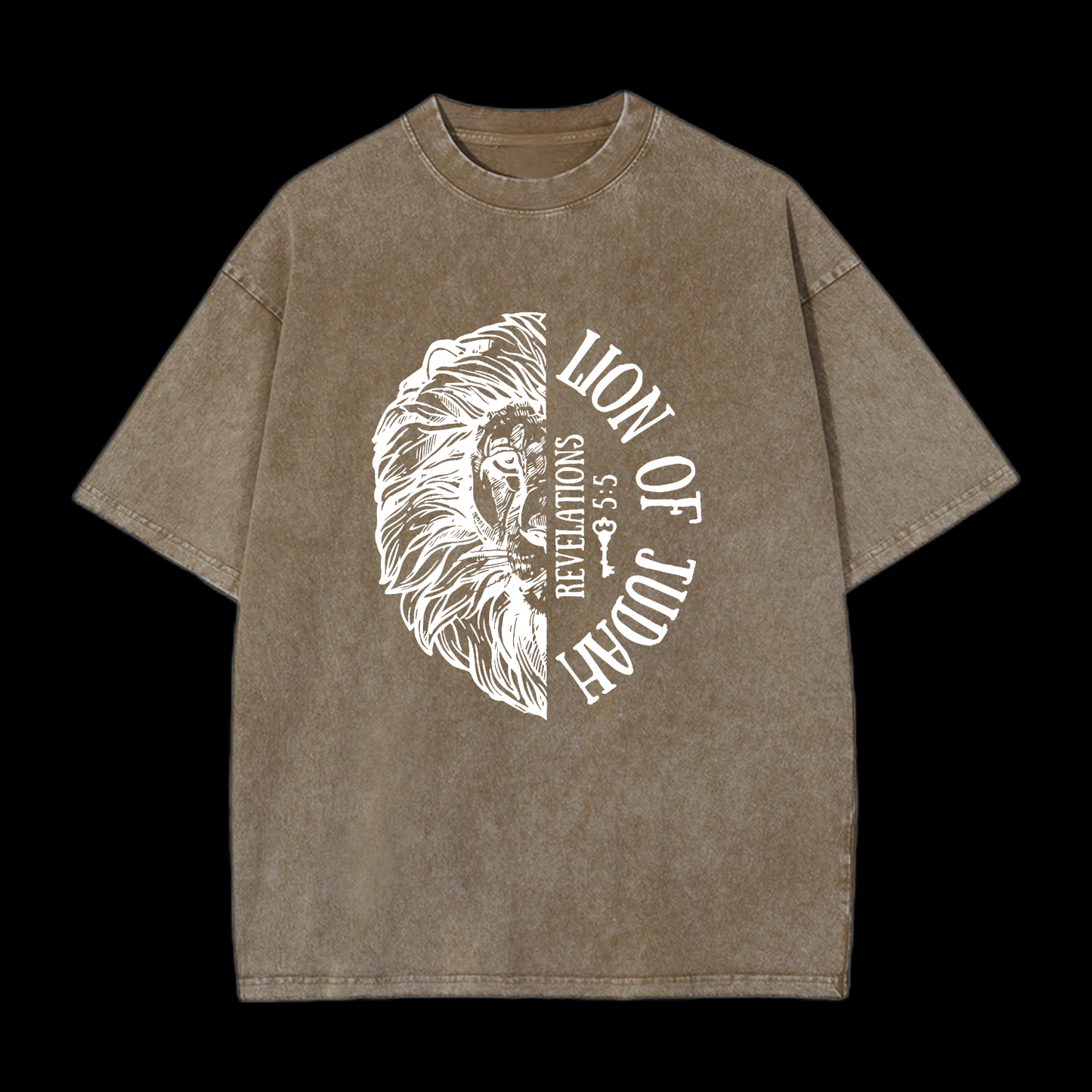 Lion Of Judah Washed T-Shirt